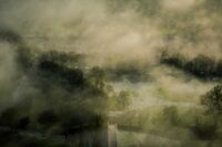 小学生[应用文]学会坚强(800字)