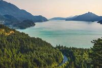 有关中毒的急救原则