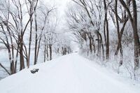 [歇后语]摘到果子摔伤腿