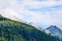 [歇后语]大虫口里夺脆骨，骊龙颌下取明珠