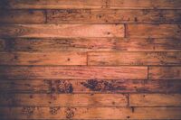 小学生[应用文]给尚老师的一封信(200字)