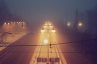 没吃到香蕉的猴子