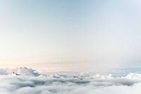 关于辛亥革命观后感700字十篇