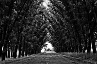 [歇后语]孔夫子的手巾