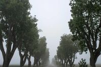 都去当了网红企业谁来做