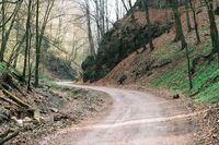 小学生[应用文]给外星人的一封信(400字)