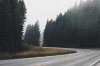 [教育论文][策划书]餐饮促销活动策划书