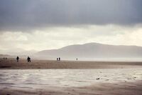 [歇后语]宰个鸽子也要请屠夫提刀