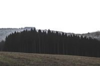 [歇后语]三伏天喝凉茶