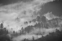 袁隆平人物事迹小故事大全