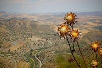 [教育论文][对联]关于高考的对联