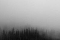 小学生[应用文]橡皮的自述(400字)