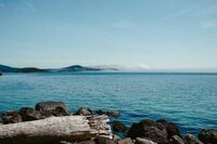 [歇后语]做贼的说梦话