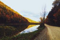 [歇后语]地上栽电杆