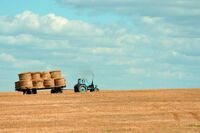 [初一作文]初中生[初一作文]真正的友谊(700字)