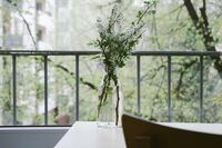 [教育论文][案例]股票投资成功案例3篇