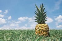 小学生[应用文]给自己的一封信(300字)