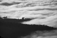 [歇后语]曹操杀华佗