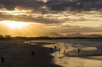 [教育论文][案例]土地转让纠纷案例3篇