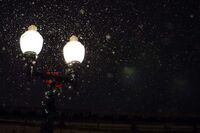 [歇后语]牙缝里剔肉吃