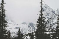 国家公祭日主题班会教案五篇