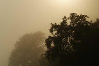 小学篮球优秀教案设计大全