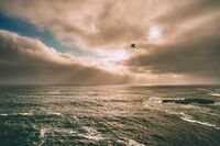 [英语教案][策划书]英语协会活动策划书