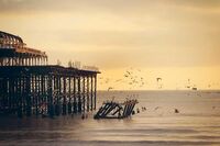 颐和墨妆，日光倾城