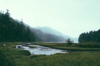 [歇后语]小巷子抬大梁