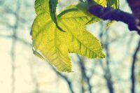 [美术教案][日记]高中美术研修日志4篇