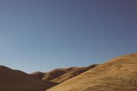 以感恩为题高考作文