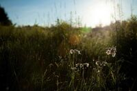 2022年江西高考报名时间