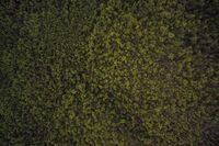 小学生[应用文]给妈妈的一封信300字(300字)