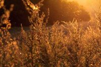 [初一作文]初中生[初一作文]成长的过程(600字)