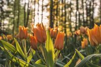 [歇后语]龙王靠边