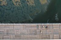 [歇后语]行车有车道，行船有航道