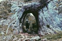 [歇后语]做小本生意