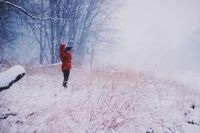 谁是你心头的那缕暗香