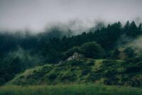 [初一作文]初中生[初一作文]争吵之后(500字)