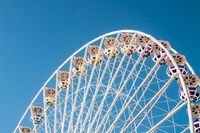 [歇后语]五尺檩条盖鸡窝