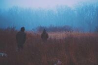 小学生[应用文]给空调机的一封信(500字)