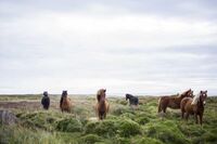 大学生寒假社会实践报告2022最新