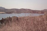 [美术教案][案例]幼儿园中班美术案例4篇