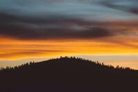 小学生[应用文]给妈妈的一封信(300字)