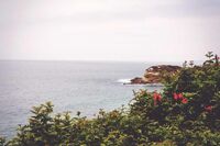 灌篮高手动漫观后感