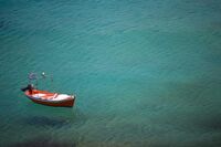 [歇后语]偷鸡不成蚀把米