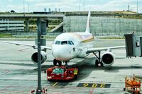 [歇后语]野鸽子起飞