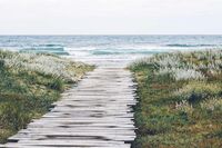 [初一作文]初中生[初一作文]姐姐(500字)