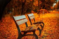 [教学相关][日记]初中英语教学研修日志6篇