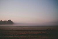 [歇后语]软面包饺子